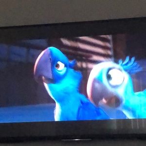 Meet your Posher, Edith